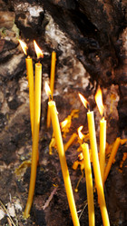 Similar image 6831354