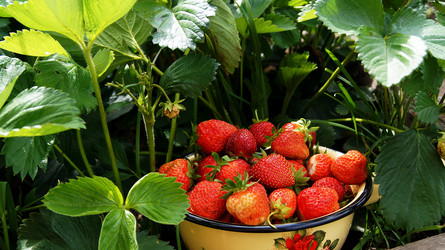 Similar image 6831356