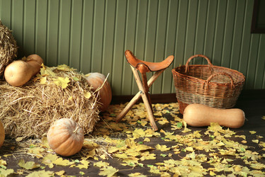 Similar image 6831603