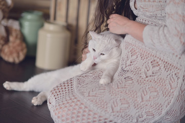 Similar image 6831606