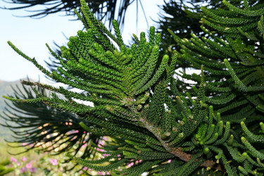 Similar image 6834217