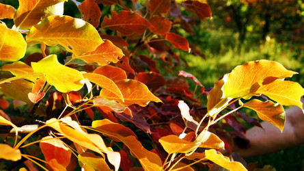 Similar image 6834226