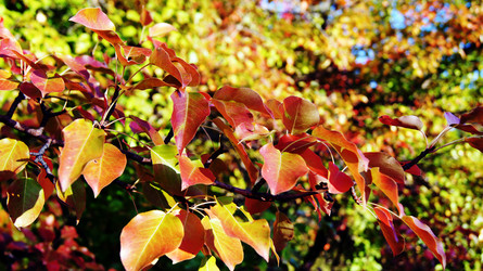 Similar image 6834227