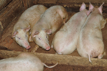 Similar image 6836365