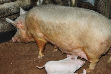 Similar image 6836366