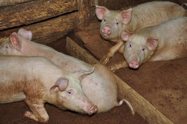 Similar image 6836367