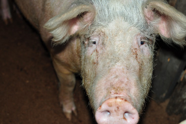 Similar image 6836368