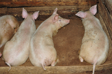 Similar image 6836369