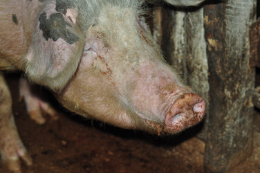 Similar image 6836373