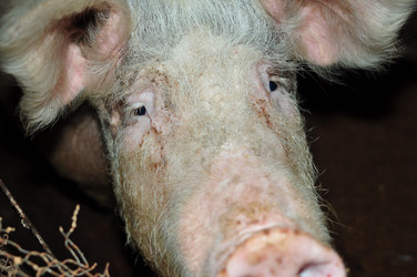 Similar image 6836374