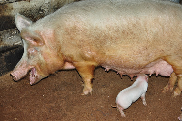 Similar image 6836376