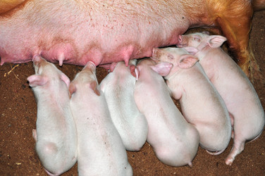 Similar image 6836442