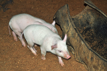 Similar image 6836443