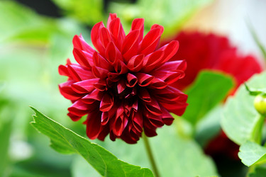 Similar image 6836444