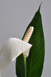 Similar image 6836556