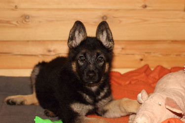 Similar image 6848097