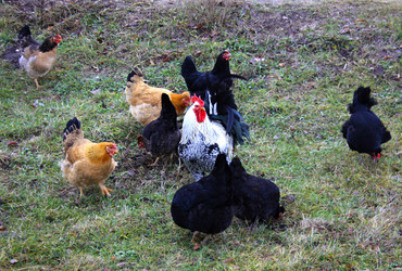 Similar image 6848109