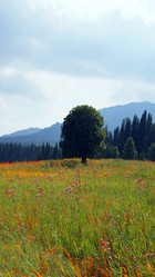 Similar image 6849536