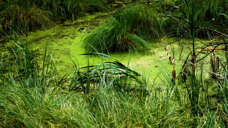 Similar image 6849542