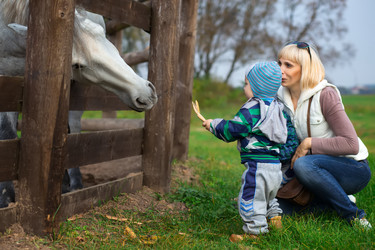 Similar image 6849935