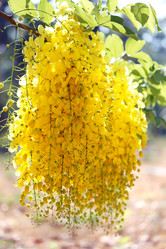 Similar image 6850658