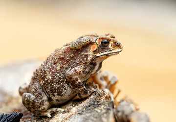 Similar image 6850795