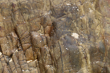 Similar image 6850796