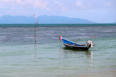 Similar image 6850800