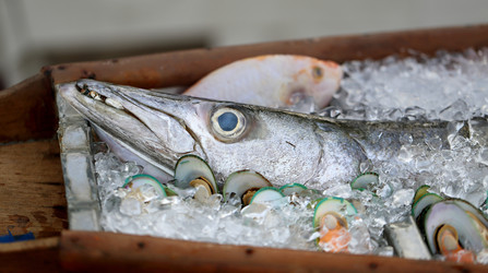 Similar image 6850802