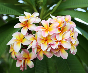 Similar image 6850881