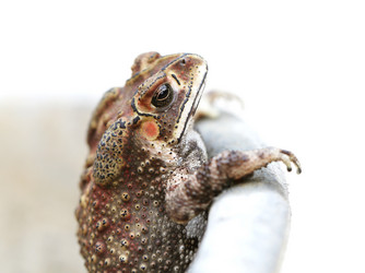 Similar image 6850883