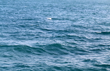 Similar image 6850896