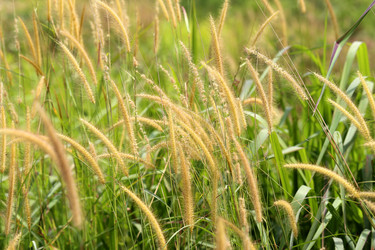 Similar image 6850901