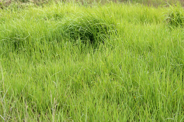 Similar image 6850904