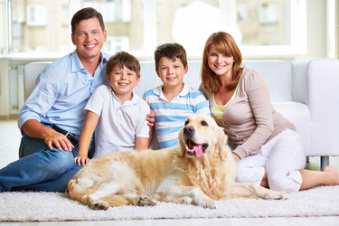 Similar image 6850967