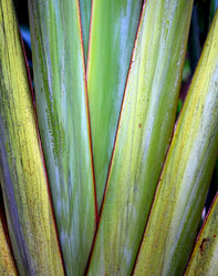 Similar image 6850971