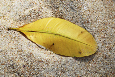 Similar image 6850980