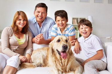 Similar image 6851536