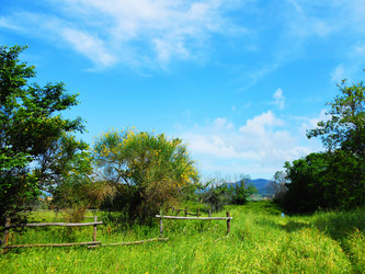 Similar image 6852882