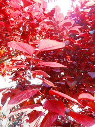 Similar image 6854086