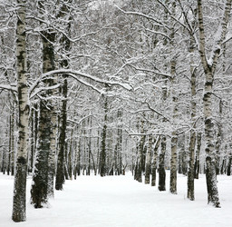 Similar image 6865014