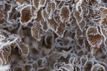 Similar image 6865318