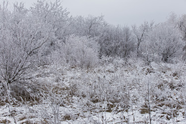 Similar image 6865325