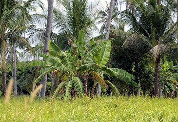 Similar image 6865482