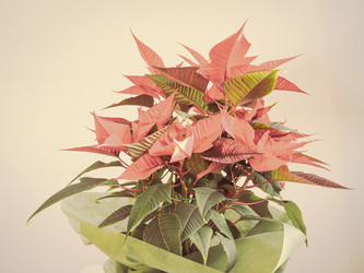 Similar image 6869552