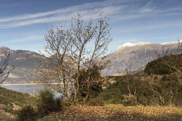 Similar image 6869675