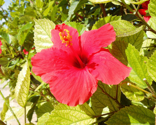 Similar image 6871476