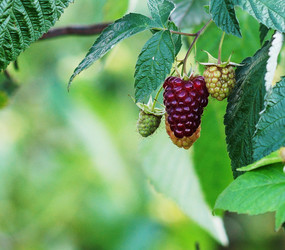 Similar image 6887322