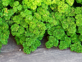 Similar image 6887444