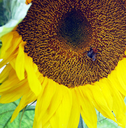 Similar image 6887446